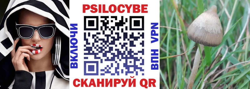 Галлюциногенные грибы Magic Shrooms  Купить  Горно-Алтайск 